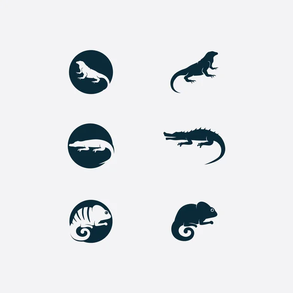 Živočišný Vektor Ještěrka Salamander Gecko Krokodýl Plazi Design Logo — Stockový vektor