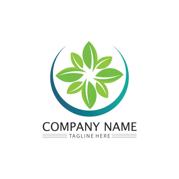 Verplicht Natuurlijke Logo Voor Het Bedrijfsleven Van Groene Plaatsecologie Ontwikkeling — Stockvector