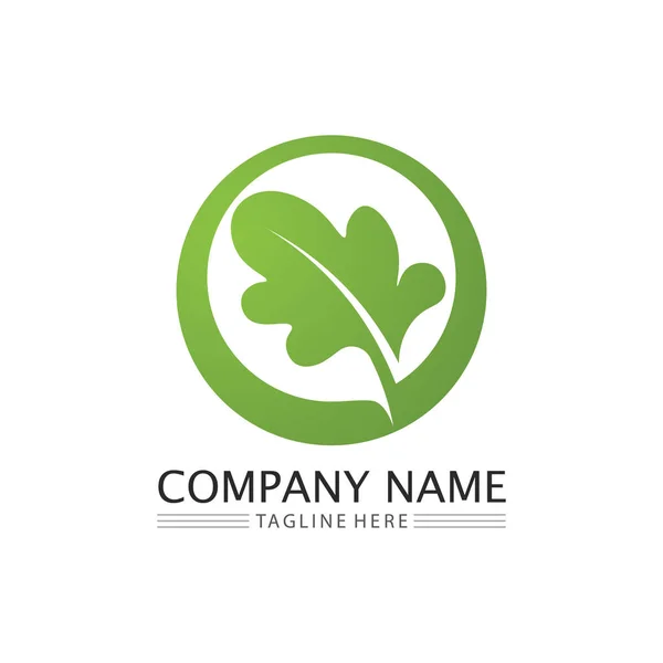 Leaf Nature Tree Logo Business Vector Green Plant Ecology Design — Stockový vektor