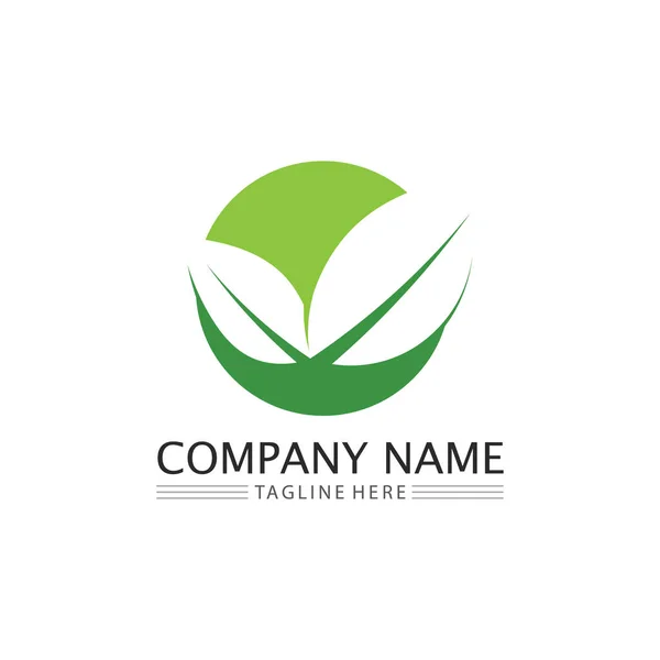 Leaf Nature Tree Logo Business Vector Green Plant Ecologyy Design — стоковий вектор