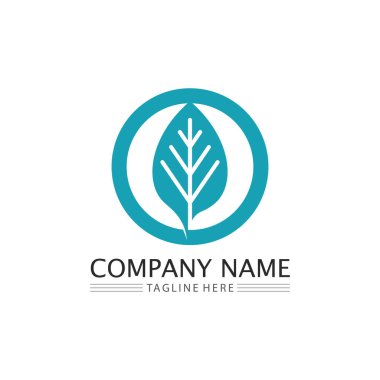 Yeşil ağaç yaprağı ekoloji doğa elementi vektörü logoları