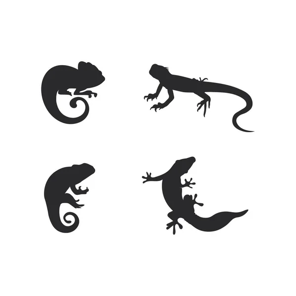 Ještěrka Zvířecí Vektor Salamander Gecko Krokodýl Plazi Design Logo — Stockový vektor
