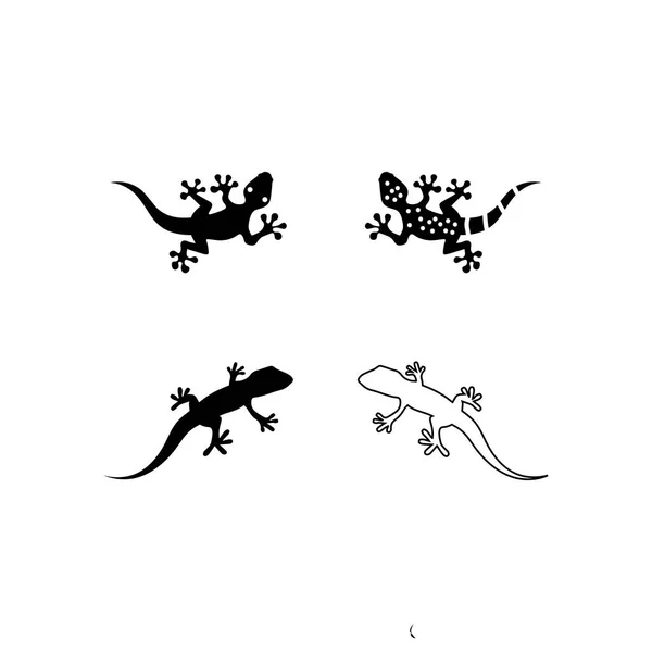 Σαύρα Ζώων Φορέα Salamander Gecko Κροκόδειλος Και Ερπετά Σχεδιασμό Λογότυπο — Διανυσματικό Αρχείο