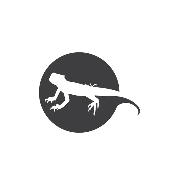 Lagarto Animal Vetor Salamandra Gecko Crocodilo Répteis Design Logotipo — Vetor de Stock