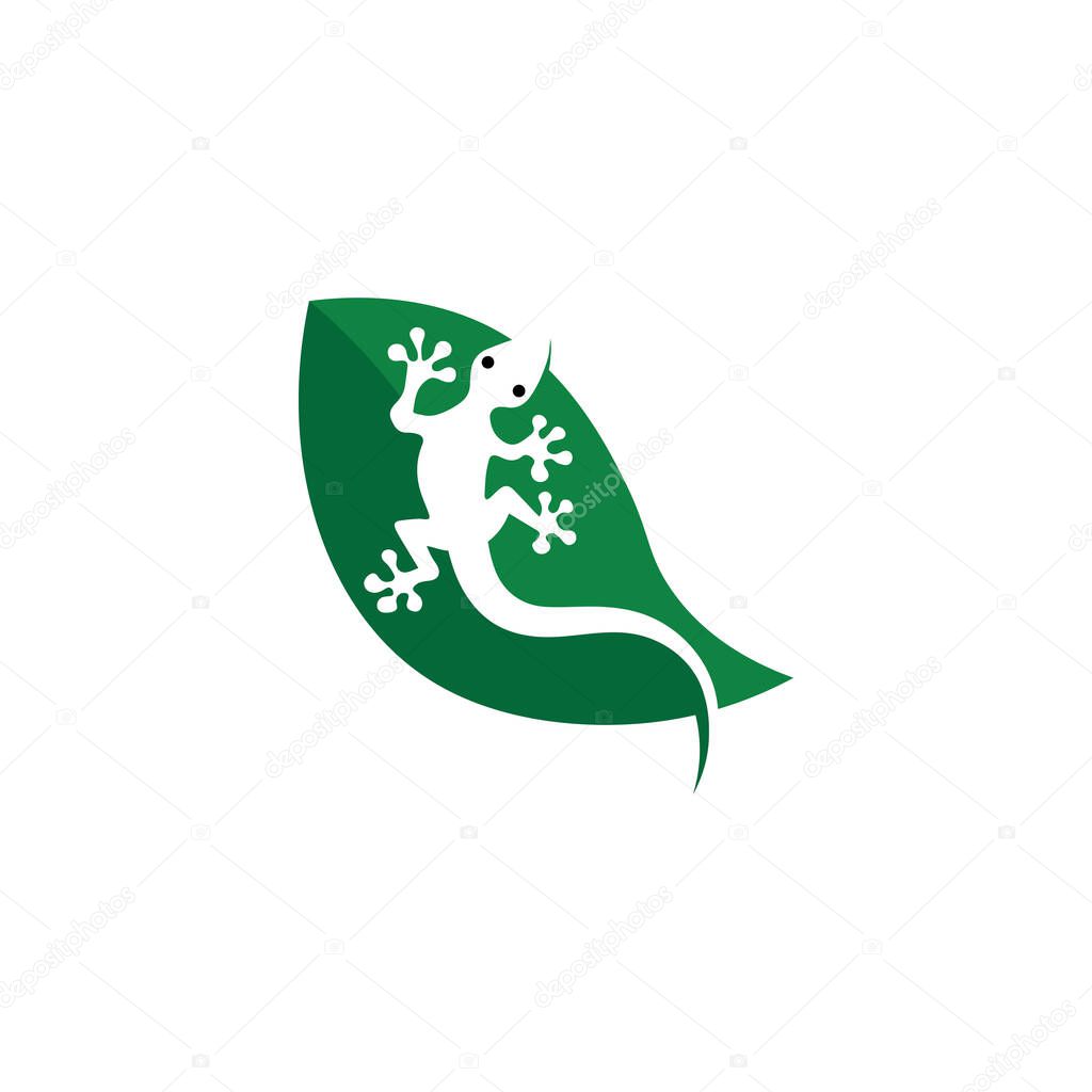 Lizard animal vector salamander gecko crocodile and reptiles design logo