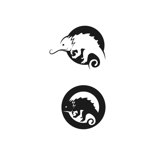 Ještěrka Zvířecí Vektor Salamander Gecko Krokodýl Plazi Design Logo Ilustrace — Stockový vektor