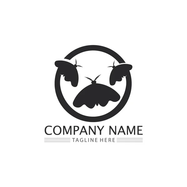 Borboleta Logotipo Beleza Design Animal Inseto Conceitual Simples Vetor Ilustratio — Vetor de Stock