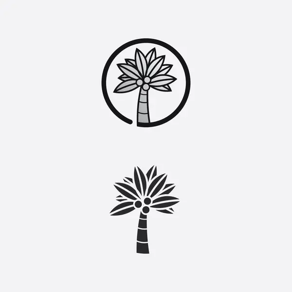 Palm Boom Zomer Tropisch Ontwerp Logo Template Vector Illustratie — Stockvector