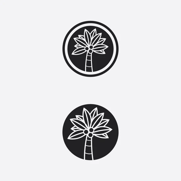 Palm Träd Sommar Och Tropisk Design Logotyp Mall Vektor Illustration — Stock vektor