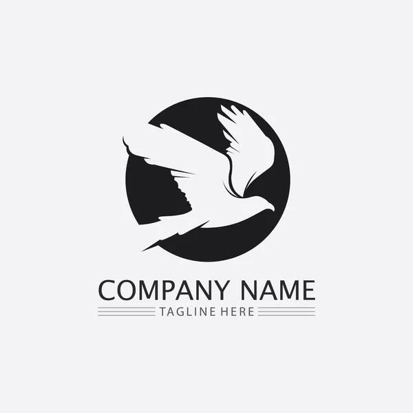 Aves Andorinha Design Logotipo Pomba Asas Animais Vetores Aves Voadoras —  Vetores de Stock