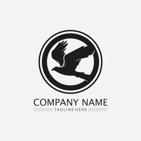 Aves Andorinha Design Logotipo Pomba Asas Animais Vetores Aves Voadoras — Vetor de Stock