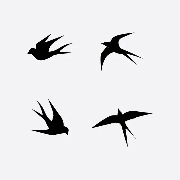 Oiseaux Avaler Colombe Logo Design Vecteur Ailes Animaux Oiseaux Volants — Image vectorielle