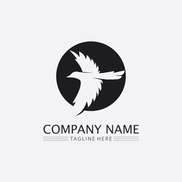 Vogels Zwaluw Logo Ontwerp Vector Dierlijke Vleugels Vliegende Vogel — Stockvector