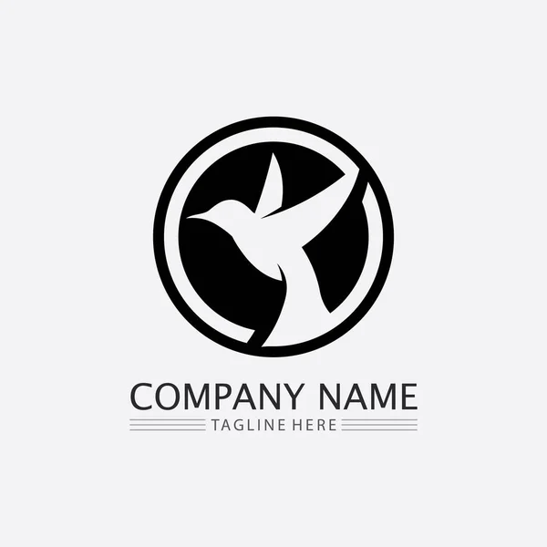 Birds Swallow Dove Logo Design Vector Animal Wings Flying Bird — Stock Vector