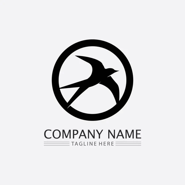 Vögel Und Schwalben Logo Design Und Vektor Tierflügel Und Fliegender — Stockvektor
