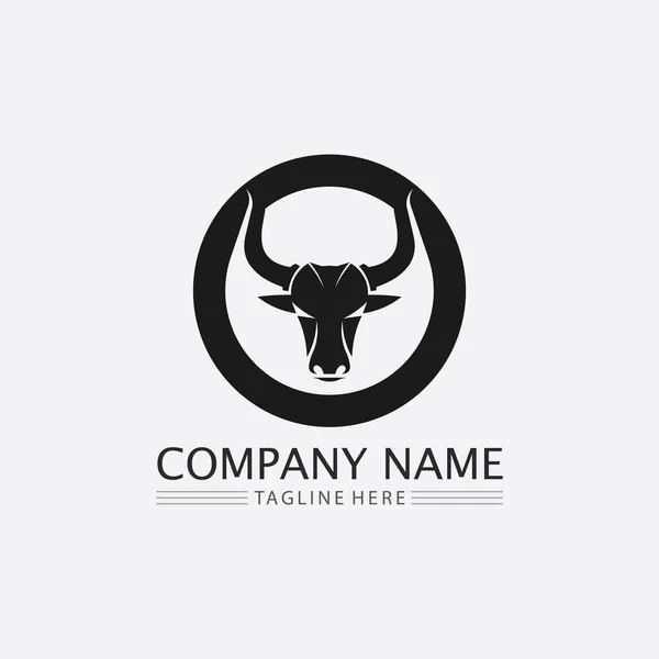 Bull Búfalo Cabeça Vaca Animal Mascote Logotipo Vetor Design Para —  Vetores de Stock