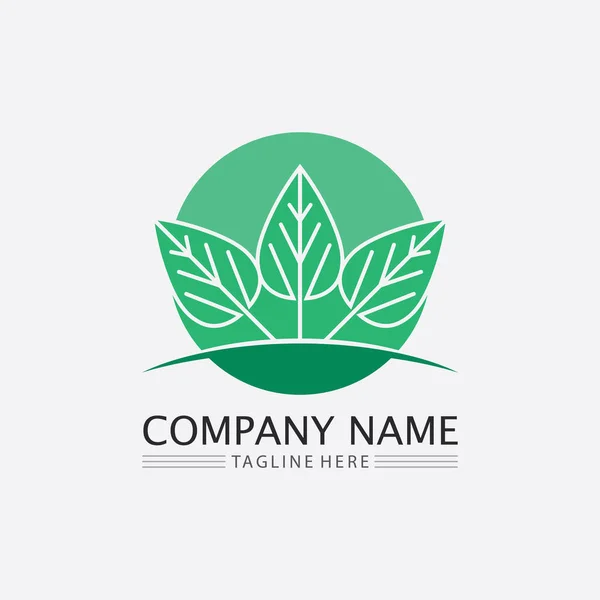 Leaf Nature Tree Logo Business Vector Green Plant Ecology Design — Stock Vector