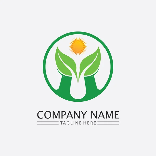 Leaf Nature Tree Logo Business Vector Green Plant Ecology Design — Stock Vector