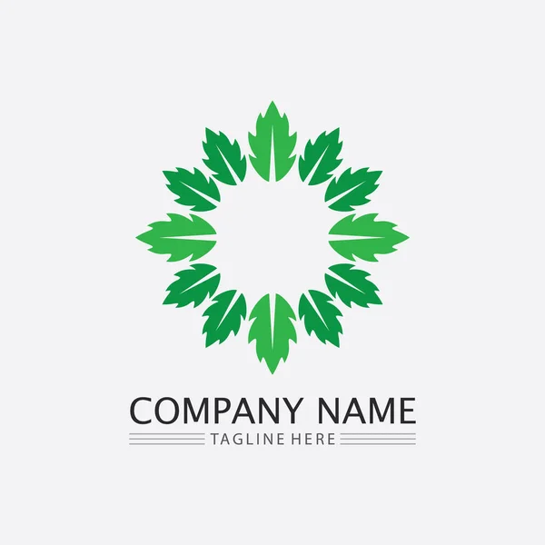 Árbol Hoja Vector Diseño Logotipo Verde Concepto Amigable — Vector de stock