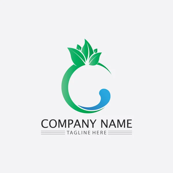 Boomblad Vector Groen Logo Ontwerp Vriendelijk Concept — Stockvector