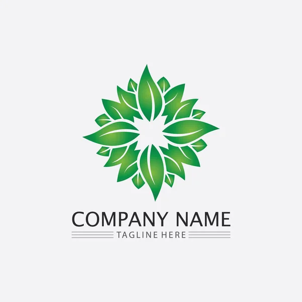 Vecteur Feuille Arbre Logo Vert Conception Concept Convivial — Image vectorielle