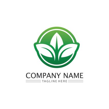 Yeşil ağaç yaprağı ekoloji doğa elementi vektörü logoları