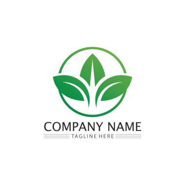 Yeşil ağaç yaprağı ekoloji doğa elementi vektörü logoları