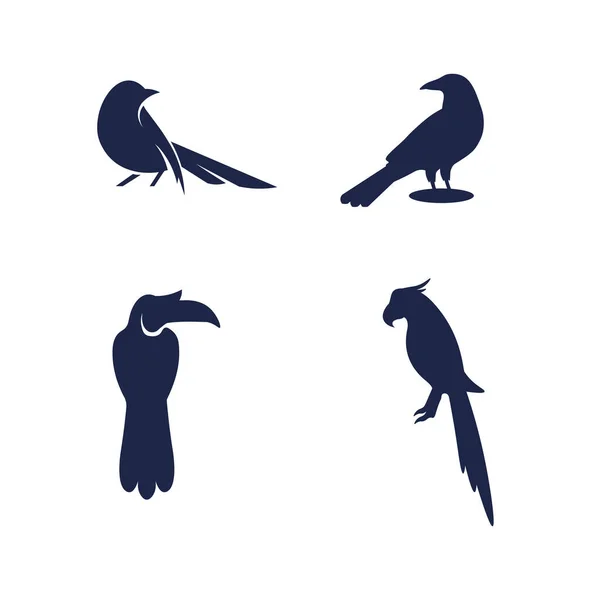 Vögel Und Schwalben Logo Design Und Vektor Tierflügel Und Fliegender — Stockvektor