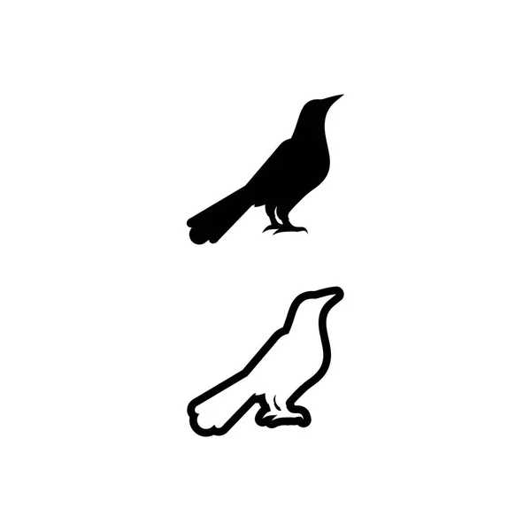 Oiseaux Avaler Colombe Logo Design Vecteur Ailes Animaux Oiseaux Volants — Image vectorielle