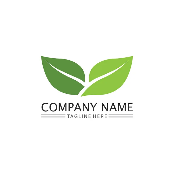 Logo Leaf Nature Tree Vettore Impresa Ecologia Verde Progettazione Icona — Vettoriale Stock