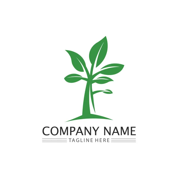 Leaf Hature Tree Logo Business Vector Green Plant Ecology Design — стоковый вектор