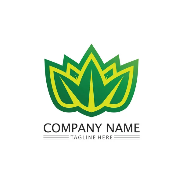 Business Vector Green Plant Ecoign Icon的叶绿素和自然树Logo — 图库矢量图片