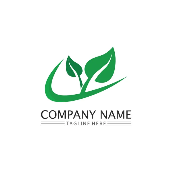 Vecteur Feuille Arbre Logo Vert Conception Concept Convivial — Image vectorielle