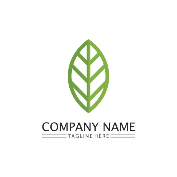 Ağaç Yaprağı Vektörü Yeşil Logo Tasarımı Dostane Kavram — Stok Vektör