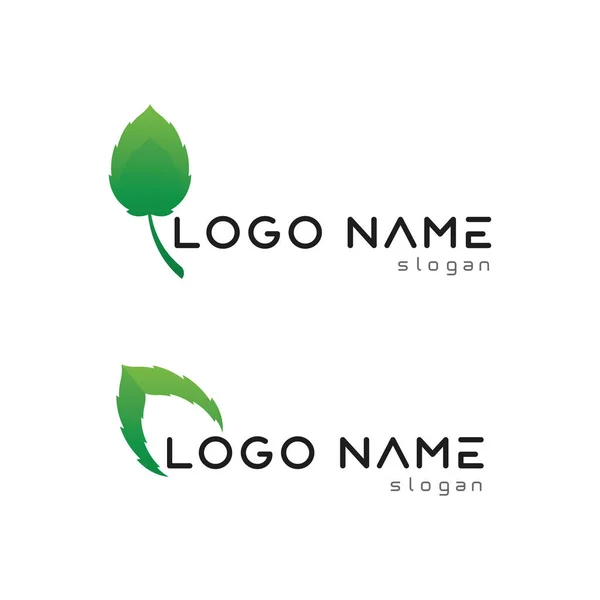 Vetor Folha Árvore Design Logotipo Verde Conceito Amigável — Vetor de Stock