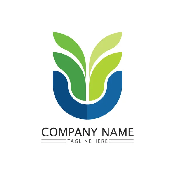 Carta Inicial Logotipo Negócio Vetor Ícone Design — Vetor de Stock