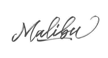 Fırçayla el yazısıyla yazılmış kelimeler. Vektör olarak kaligrafi