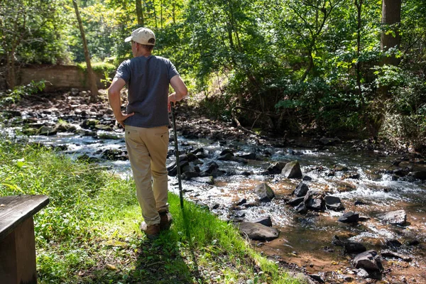 Solitary man contemplates nature on woodland hike with flowing stream