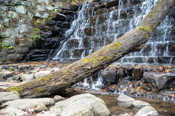 Árvore caída repousa contra a base de uma cachoeira reservatório em camadas — Fotografia de Stock