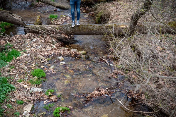 Person Athletic Shoes Stands Fallen Tree Footbridge Woodland Stream Early — Stockfoto