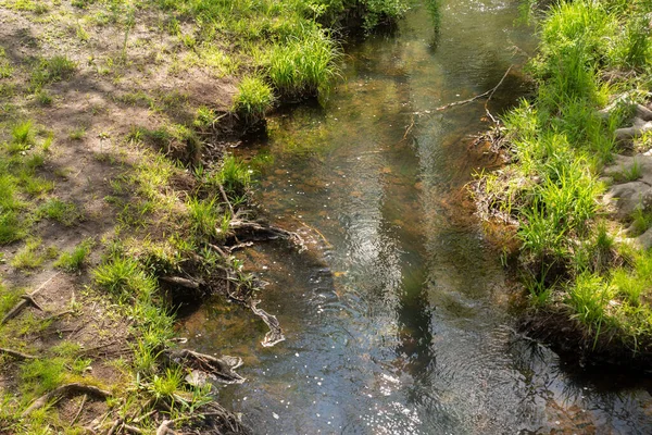 A winding stream flows in dappled light with green grass meadow banks — Stockfoto