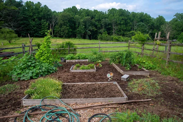 Rustic raised bed vegetable garden with rural nature background