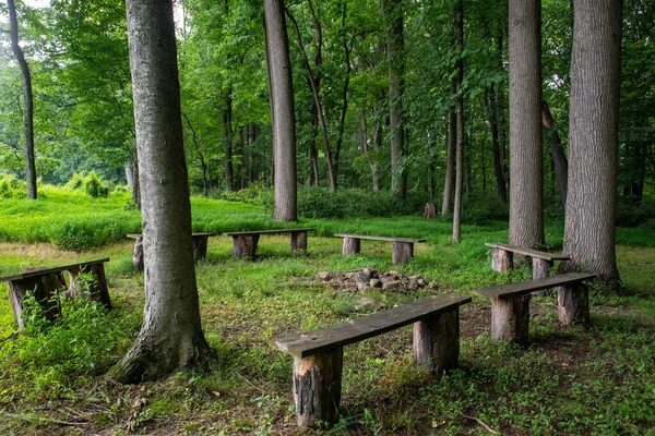 Bancs vides rustiques autour d'un foyer de forêt idyllique — Photo