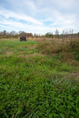 Tarımsal alanda yeşil çimen izleri ve uzakta bir arazi aracı.