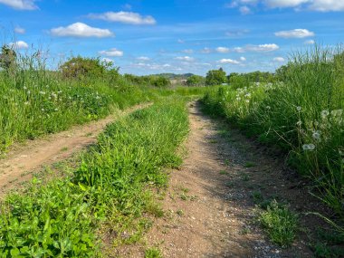 Idyllic toprak yolu huzurlu yeşil otlakların arasından geçiyor mavi gökyüzünün altında kabarık beyaz bulutlarla. Yolculuk konsepti, yeni bir başlangıç, insan yok, kopyalama alanı yok, doğal olarak çekilmiş.
