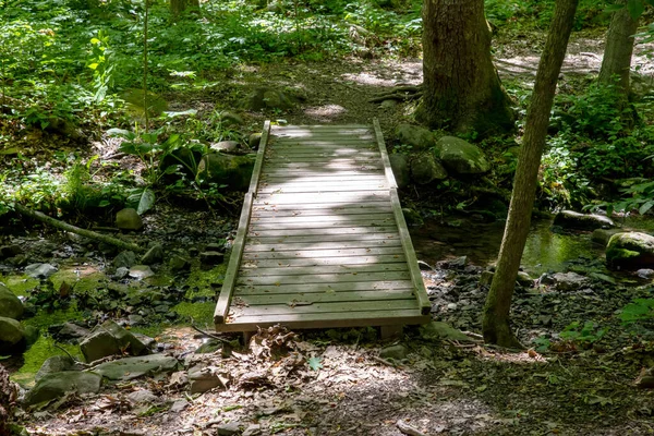Dappled Sunlight Wooden Bridge Woodland Stream Secluded Hiking Trail Trees — Stock Photo, Image