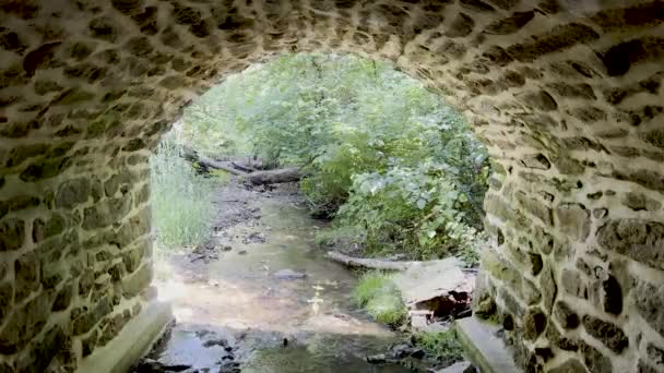 Beautiful Serene Green Woodland Seen Pre Revolutionary War Stone Arch — Stockvideo