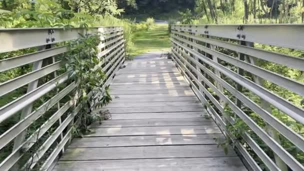 High Quality Footage Walk Bridge Leading Tranquil Idyllic Lush Green — Stockvideo