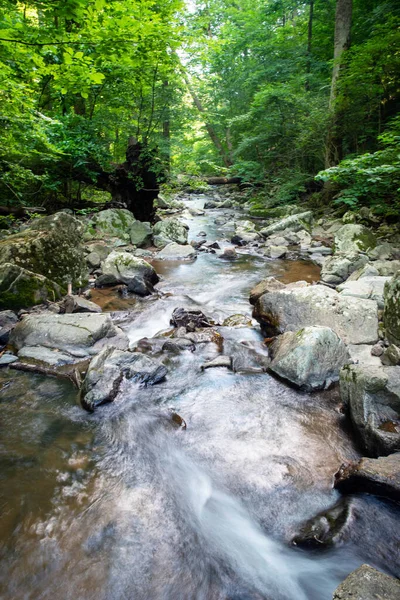 Dikey uzun pozlama yeşil ormanlık alan arka plan çekim büyük gri taşlar ve su arka planda bir ağaç yaya köprüsü ile bir derede akmaktadır. İnsansız doğal ışık ve kopyalama alanı.
