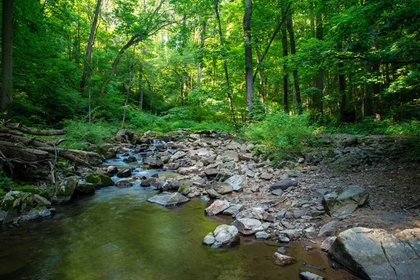 Floresta Verde Natureza Fundo Com Pedras Cinzentas Água Que Flui — Fotografia de Stock